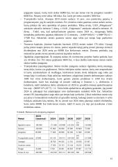 Investicinio projekto efektyvumo ir rizikos vertinimas (referatas) 11 puslapis