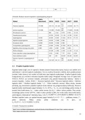 Investicinio projekto efektyvumo ir rizikos vertinimas (referatas) 12 puslapis