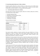 Investicinio projekto efektyvumo ir rizikos vertinimas (referatas) 14 puslapis