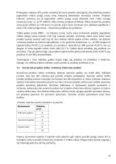 Investicinio projekto efektyvumo ir rizikos vertinimas (referatas) 15 puslapis