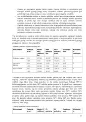 Investicinio projekto efektyvumo ir rizikos vertinimas (referatas) 16 puslapis