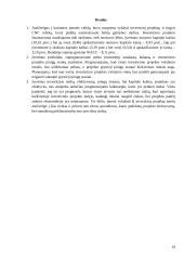 Investicinio projekto efektyvumo ir rizikos vertinimas (referatas) 18 puslapis