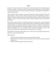 Investicinio projekto efektyvumo ir rizikos vertinimas (referatas) 4 puslapis