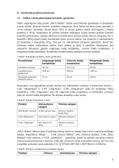 Investicinio projekto efektyvumo ir rizikos vertinimas (referatas) 5 puslapis