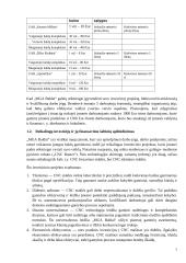 Investicinio projekto efektyvumo ir rizikos vertinimas (referatas) 6 puslapis