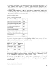 Investicinio projekto efektyvumo ir rizikos vertinimas (referatas) 7 puslapis