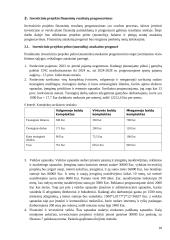 Investicinio projekto efektyvumo ir rizikos vertinimas (referatas) 9 puslapis