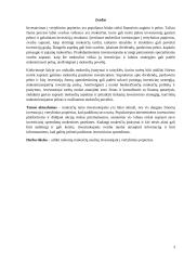 Mokesčiai investuotojams: kas aktualu investuojant į vertybinius popierius? 2 puslapis