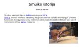 Skaidrės apie smuiką 3 puslapis
