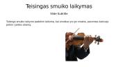Skaidrės apie smuiką 6 puslapis
