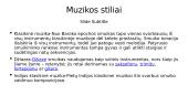 Skaidrės apie smuiką 7 puslapis