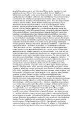 Franco Kafkos kūryba bei gyvenimas 6 puslapis