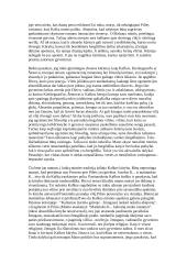 Franco Kafkos kūryba bei gyvenimas 8 puslapis