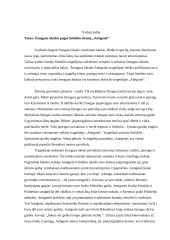 Žmogaus idealas pagal Sofoklio dramą ,,Antigonė‘‘