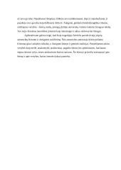 Žmogaus idealas pagal Sofoklio dramą ,,Antigonė‘‘ 2 puslapis