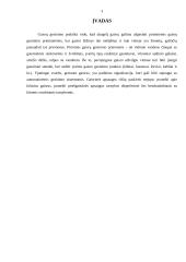 Gaisro gesinimo priemonės 2 puslapis