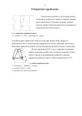 Gaisro gesinimo priemonės 7 puslapis