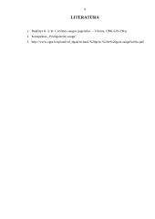 Gaisro gesinimo priemonės 8 puslapis