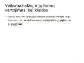 Morfologijos klaidos ir jų taisymas 13 puslapis