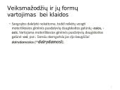 Morfologijos klaidos ir jų taisymas 14 puslapis