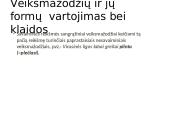 Morfologijos klaidos ir jų taisymas 16 puslapis