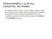 Morfologijos klaidos ir jų taisymas 19 puslapis