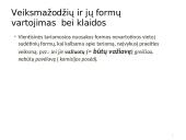Morfologijos klaidos ir jų taisymas 10 puslapis