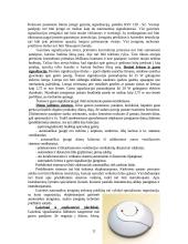 Gaisro gesinimo priemonės ir gaisrų gesinimo eiga 11 puslapis