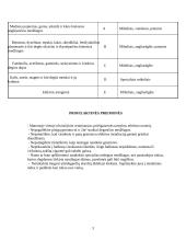 Gaisro gesinimo priemonės ir gaisrų gesinimo eiga 3 puslapis