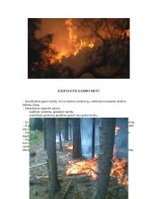 Gaisro gesinimo priemonės ir gaisrų gesinimo eiga 4 puslapis
