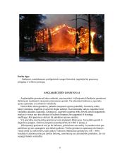 Gaisro gesinimo priemonės ir gaisrų gesinimo eiga 6 puslapis