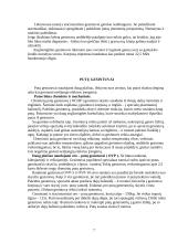 Gaisro gesinimo priemonės ir gaisrų gesinimo eiga 7 puslapis