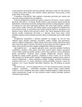 Gaisro gesinimo priemonės ir gaisrų gesinimo eiga 9 puslapis