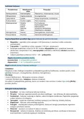 Biochemijos konspektas koliokviumui 2 puslapis