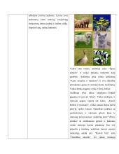 Fizinio ugdymo valandėlės planas. Žaidžiame žaidimą “Gyvūnų pasaulyje” 2 puslapis