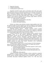 Galileo palydovinė radijo navigacinė sistema 13 puslapis