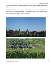 Tvarumo sąvoka Lietuvoje 7 puslapis