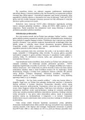 Galios politikos sugrįžimas - žengiant į XXI amžių 3 puslapis