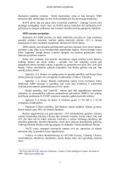 Galios politikos sugrįžimas - žengiant į XXI amžių 6 puslapis