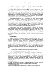 Galios politikos sugrįžimas - žengiant į XXI amžių 7 puslapis