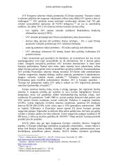 Galios politikos sugrįžimas - žengiant į XXI amžių 8 puslapis