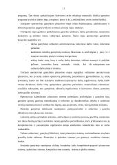 Gamybos planavimas 11 puslapis