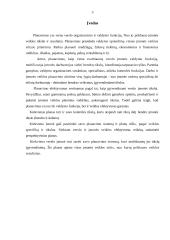 Gamybos planavimas 3 puslapis