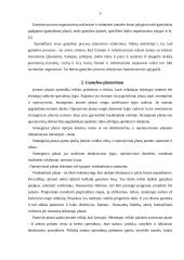 Gamybos planavimas 5 puslapis