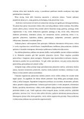 Gamybos planavimas 6 puslapis