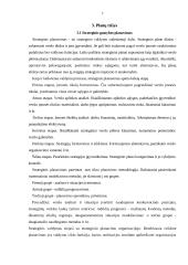 Gamybos planavimas 7 puslapis