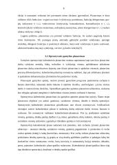 Gamybos planavimas 8 puslapis