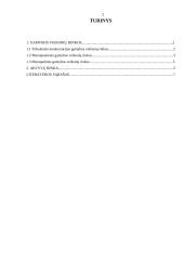 Gamybos veiksnių rinkos. Aktyvų rinka 2 puslapis