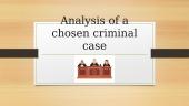 Analysis of a chosen criminal case