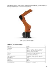 Pramoninis portalinis XCZ robotas 9 puslapis